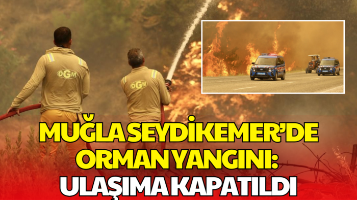 Muğla'da Orman Yangını Büyüyor! Fethiye-Antalya Yolu Ulaşıma Kapandı